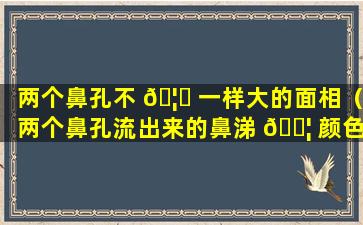 两个鼻孔不 🦟 一样大的面相（两个鼻孔流出来的鼻涕 🐦 颜色不一样）